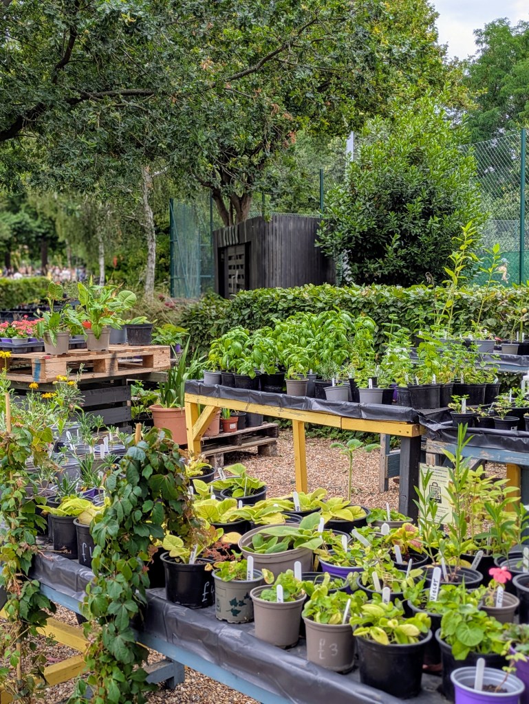 Plants for sale. Thrive Garden, Battersea Park, July 2025