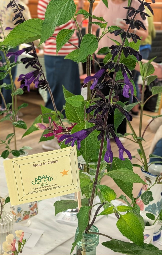 Class 3: Best in Class