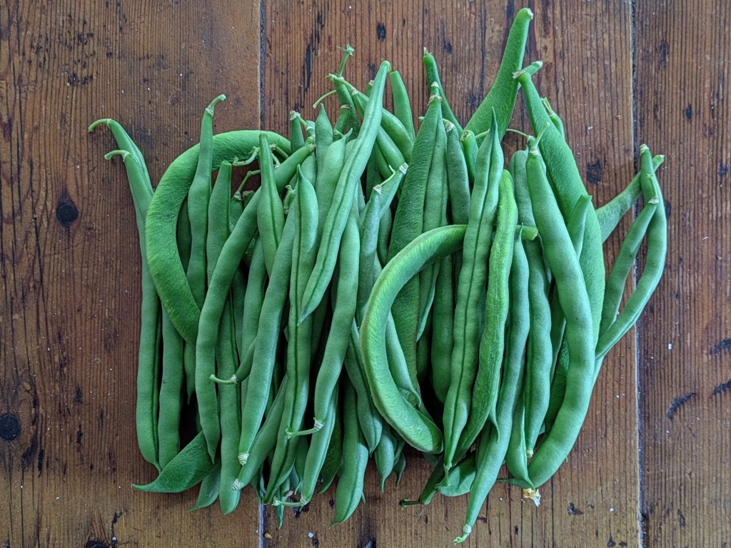 French and runner beans