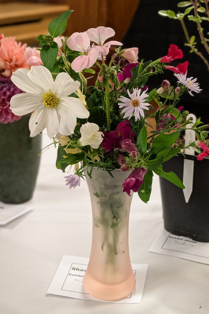 Mixed garden flowers CABAHS Show Table, September 2025