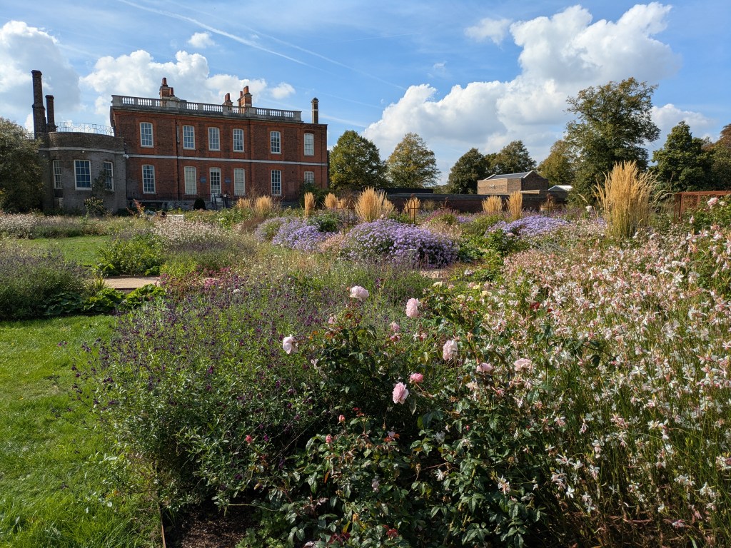 View across the Rose Garden. Greenwich Park, September 2025