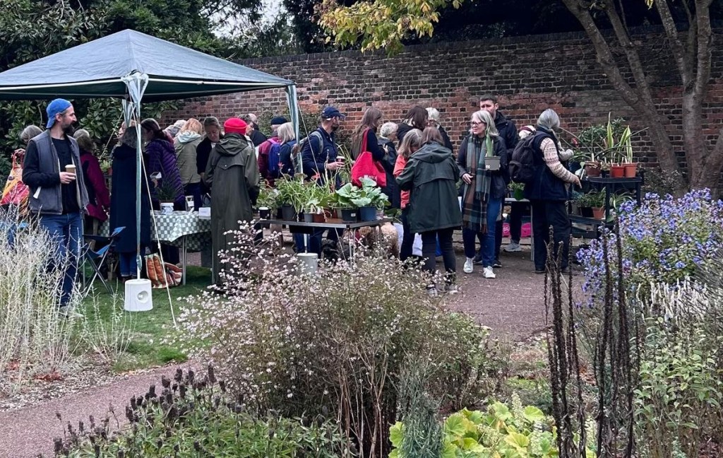 Busy time at the plant sales stalls Horn Fair 2025