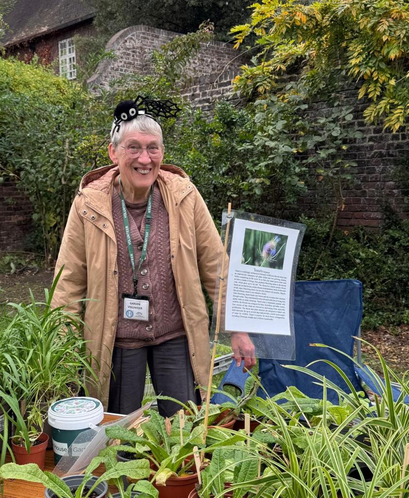 CABAHS volunteer at the Horn Fair 2025