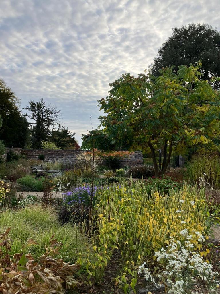 Old Pond Garden in a break in the weather! October 2025