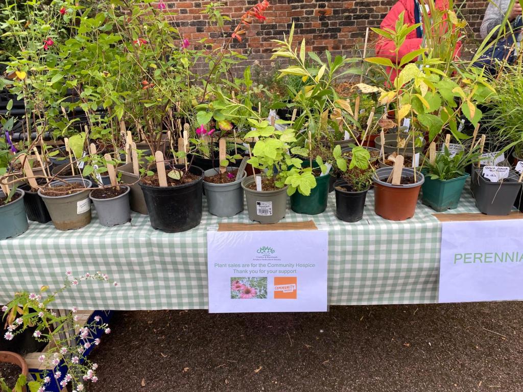 CABAHS plants for sale Horn Fair 2025