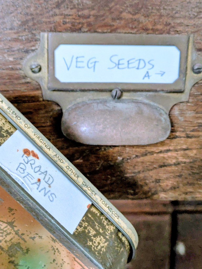 Time to sow broad beans