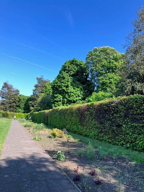 Right hand side of the Long Garden
