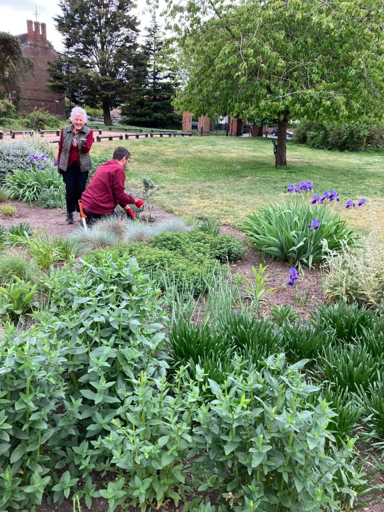 New planting in the front beds