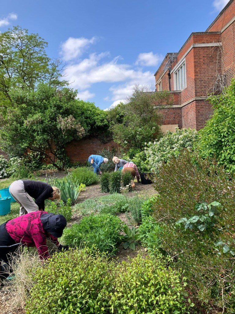 Weeding together in the Peace Garden