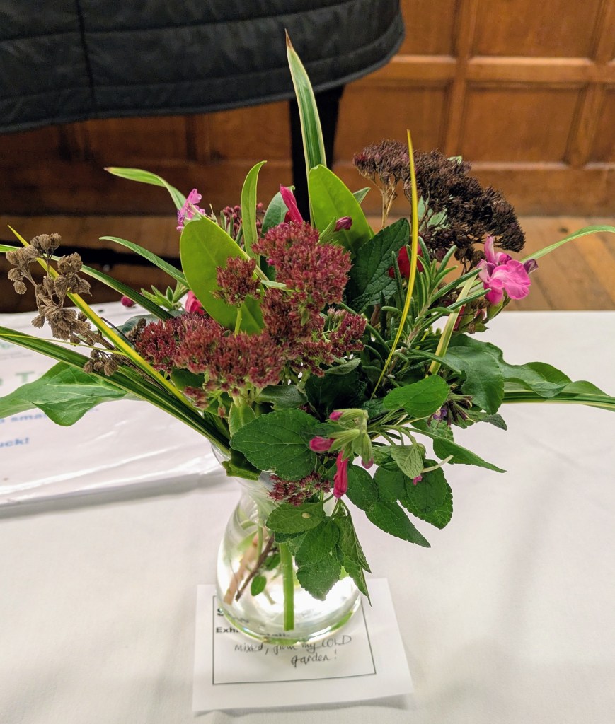 'Mixed flowers from a COLD garden' CABAHS Show Table, November 2025