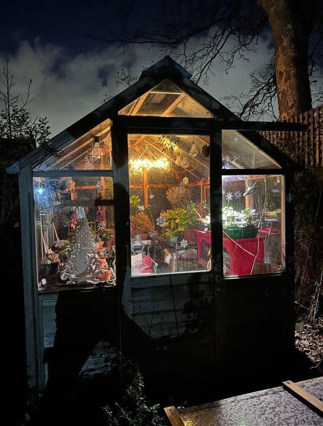 Kathy's decorated greenhouse, December 2025