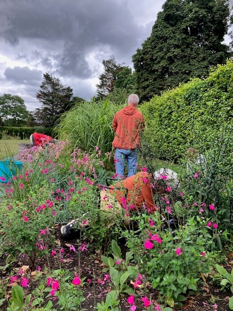 Watering the Long Garden new plants