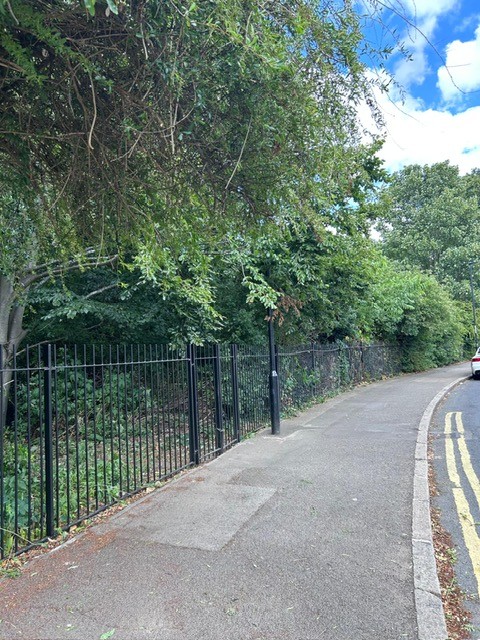 Canberra Road shrubs cut back