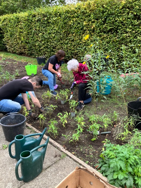 New plants in the Long Garden