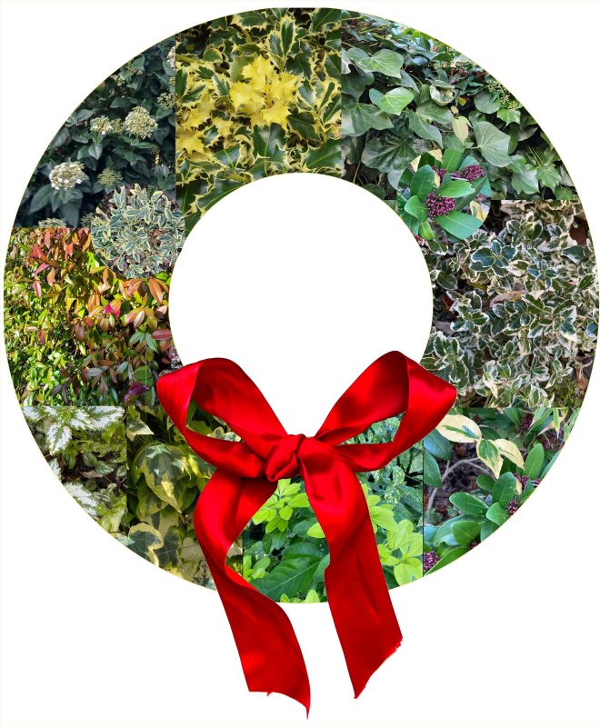 Virtual 'evergreen leaves' wreath compiled from CABAHS member photographs.