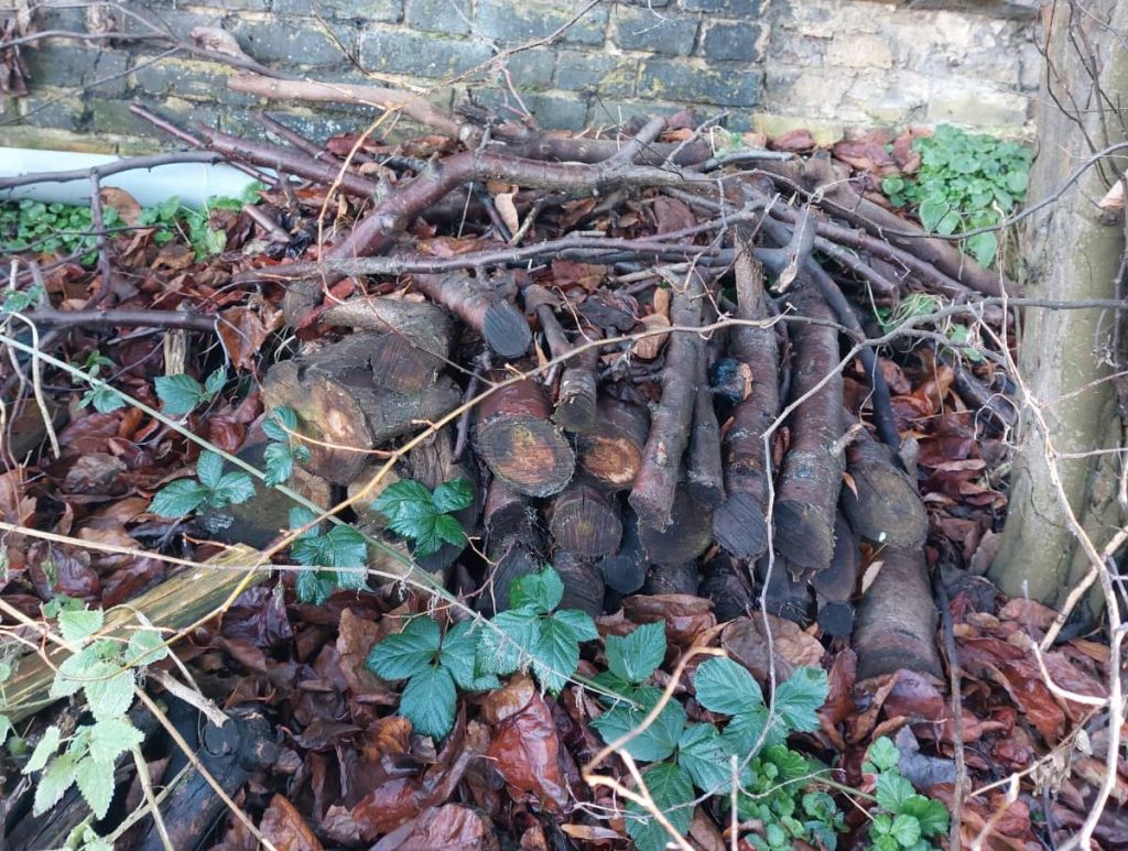 Keep a woodpile as a wildlife habitat Keep a woodpile as a wildlife habitat