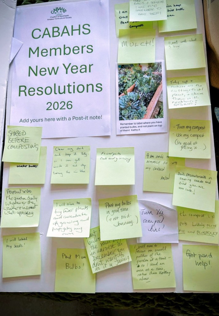 Some of the CABAHS members' resolutions for 2026