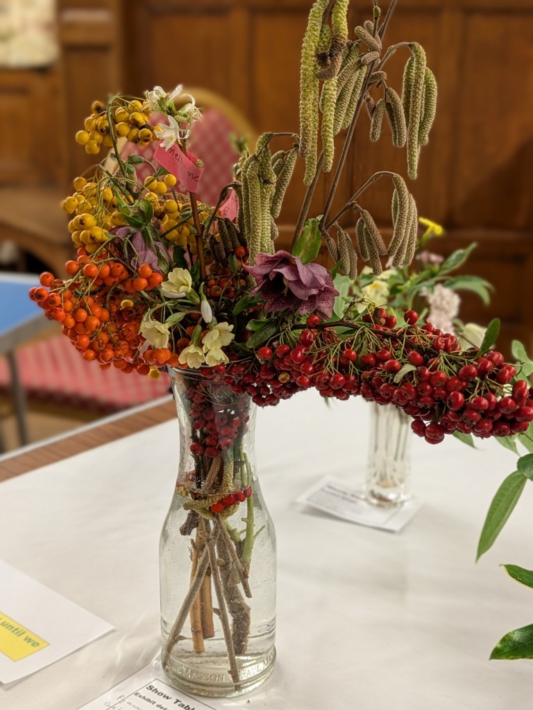 A cornucopia of berries with Lonicera fragrantissima, Primula and Helleborus. CABAHS Show Table January 2026
