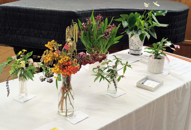 CABAHS Show Table, January 2026