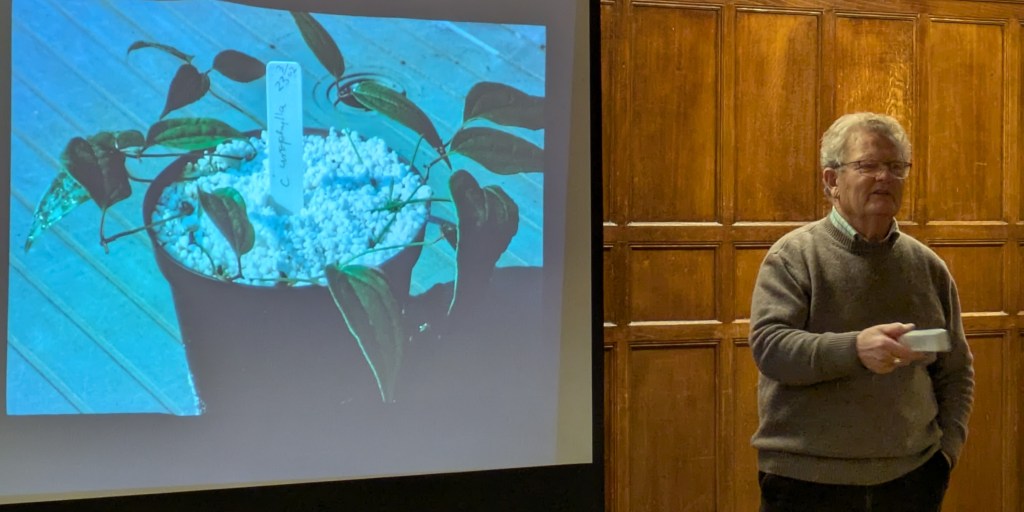 Everett Leeds talking about propagating Clematis CABAHS January 2026