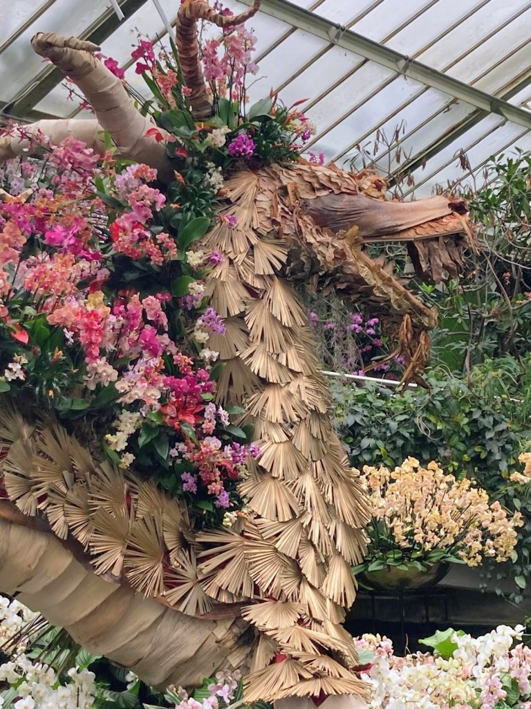 Orchids at Kew, February 2026