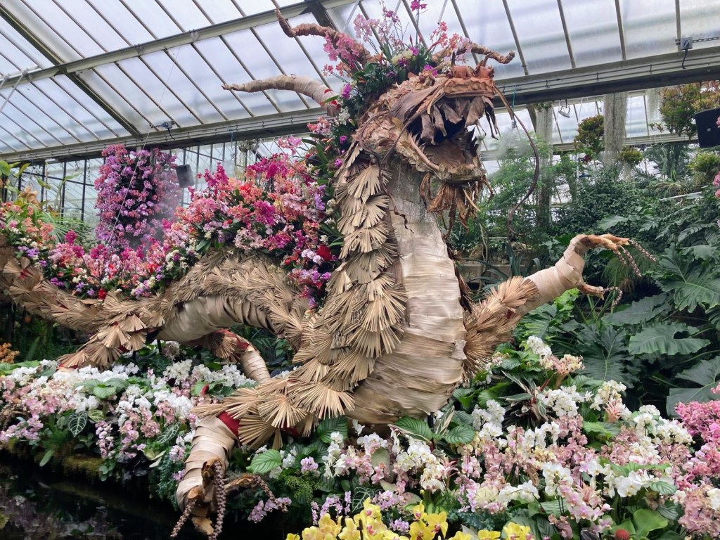 Orchids at Kew, February 2026