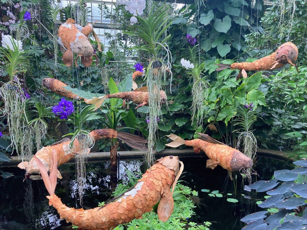 Orchids at Kew, February 2026