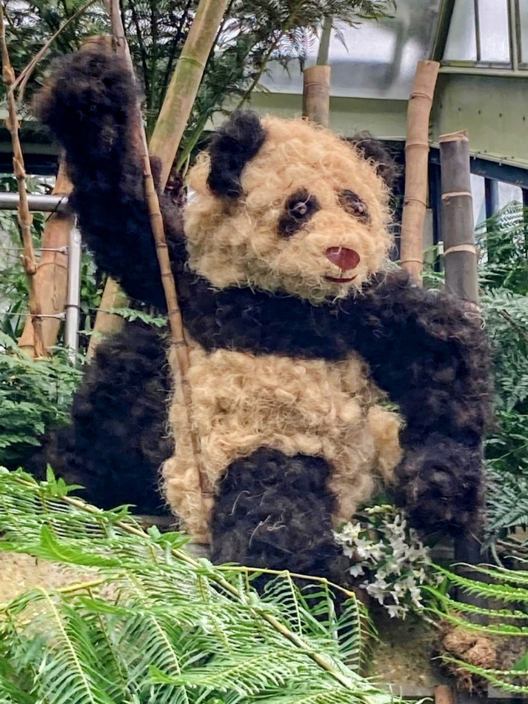 Orchids at Kew, February 2026