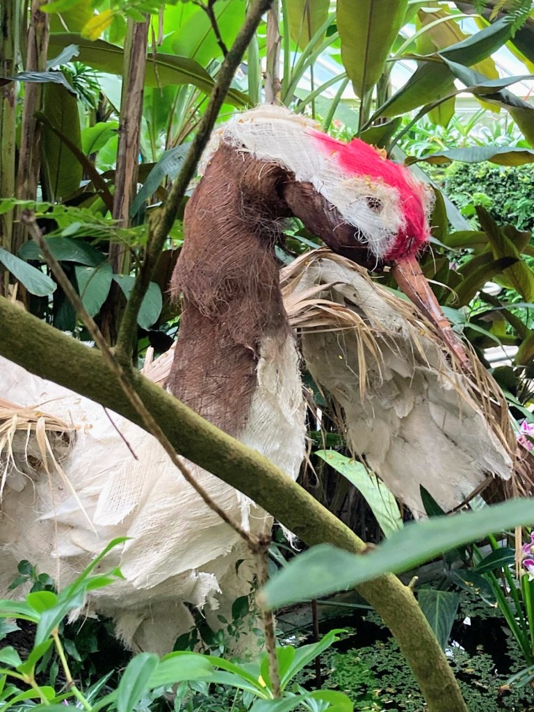 Orchids at Kew, February 2026