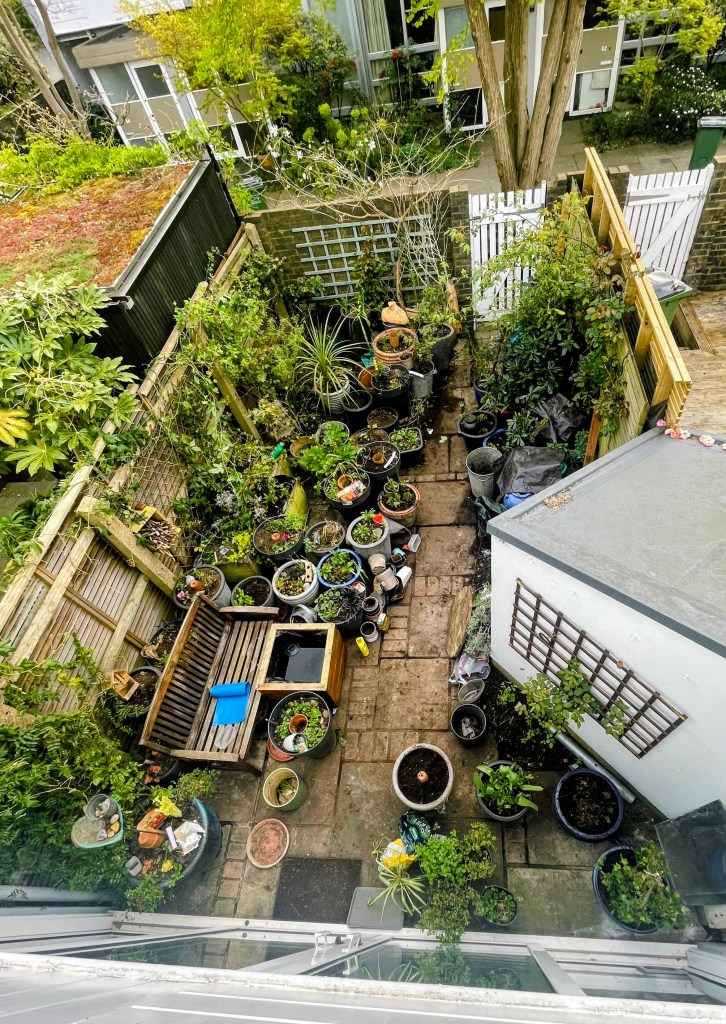 Hamini's small garden