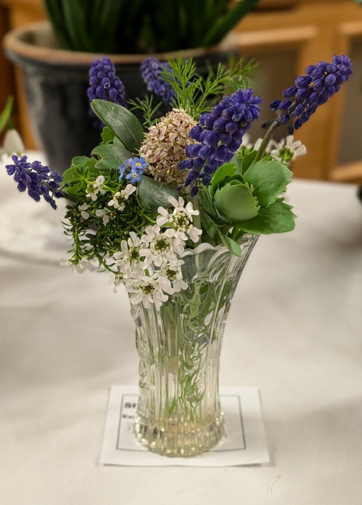 Blue., green and white - a vase of spring flowers CABAHS Show Table March 2026