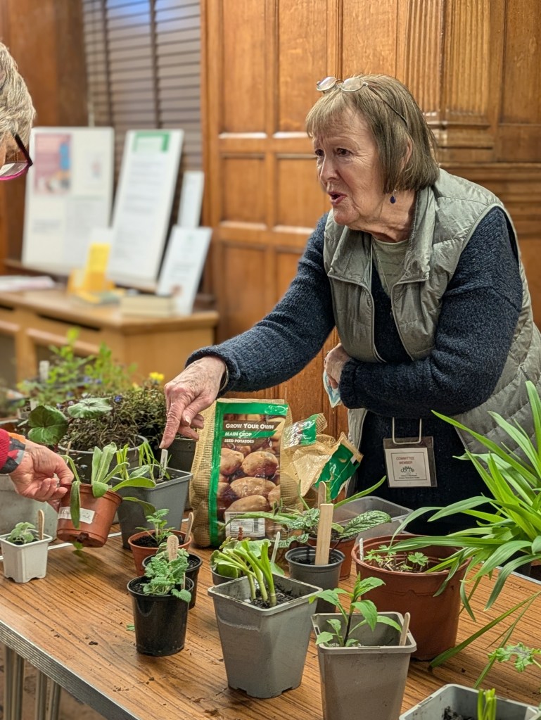 Plant Sales and potatoes
