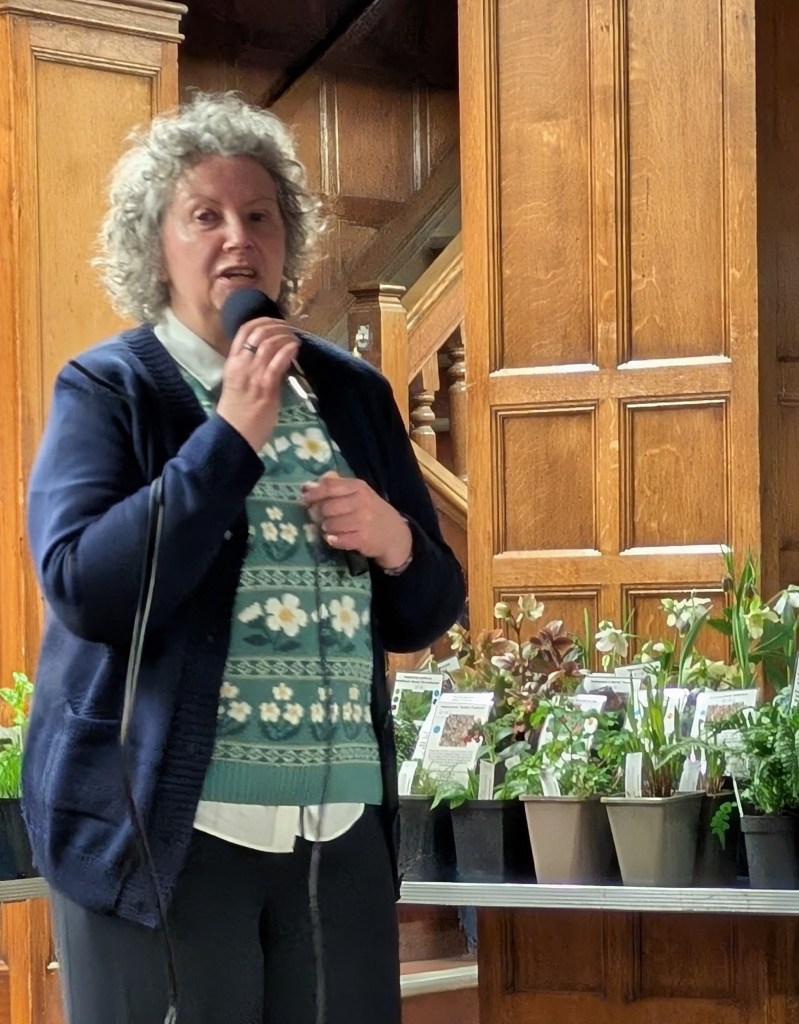 Speaker Lynne Moore of Moore & Moore Plants, speaking at CABAHS, March 2026