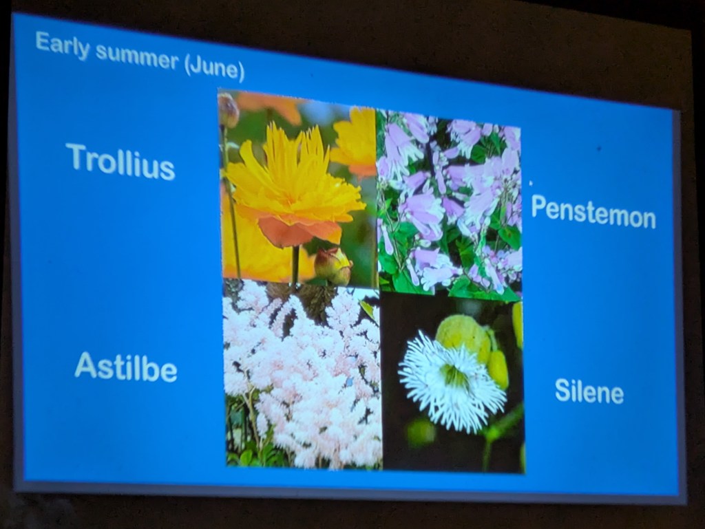A slide from Lynne Moore's talk about plants for shade, March 2026
