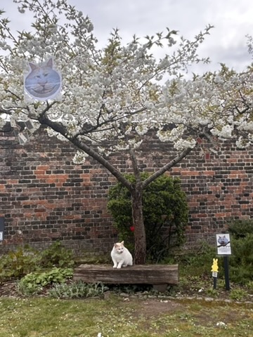 Casper looking at his picture