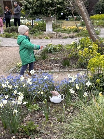 Little boy spotting the dormouse in a teapot