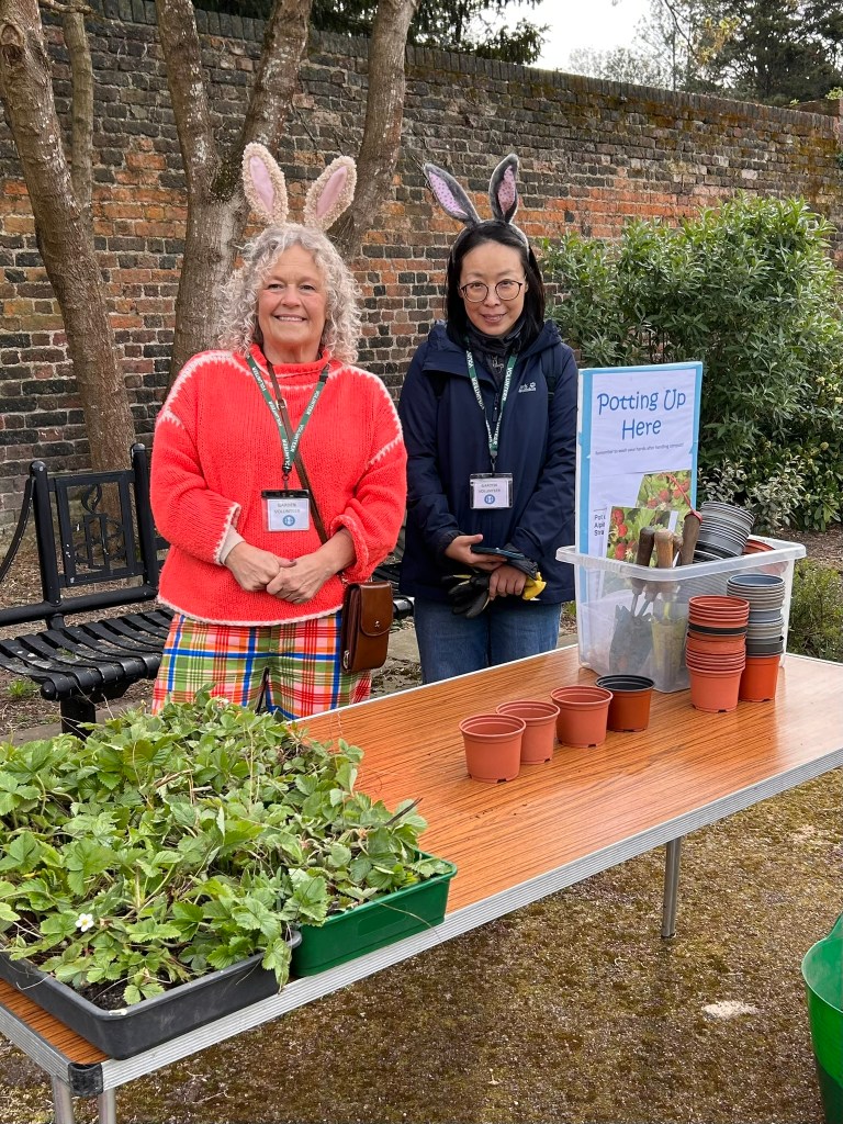 Therese and Marina at Potting up station