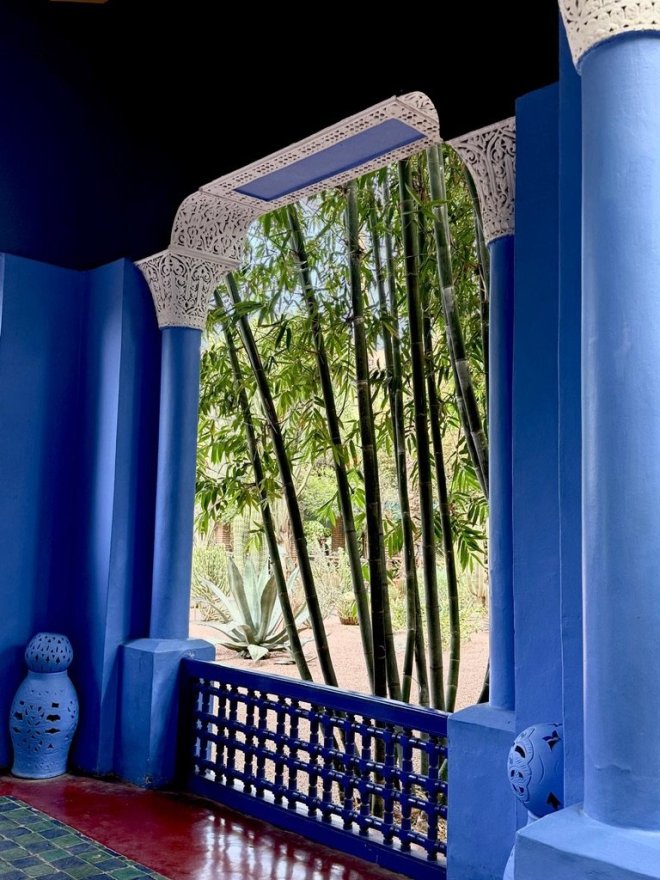 Bamboo at Le Jardin Majorelle, Marrakesh. March 2026