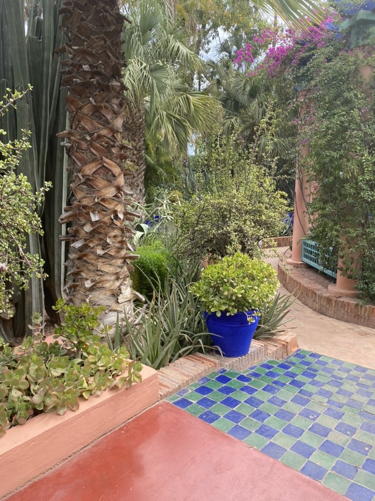 Le Jardin Majorelle, Marrakesh. March 2026