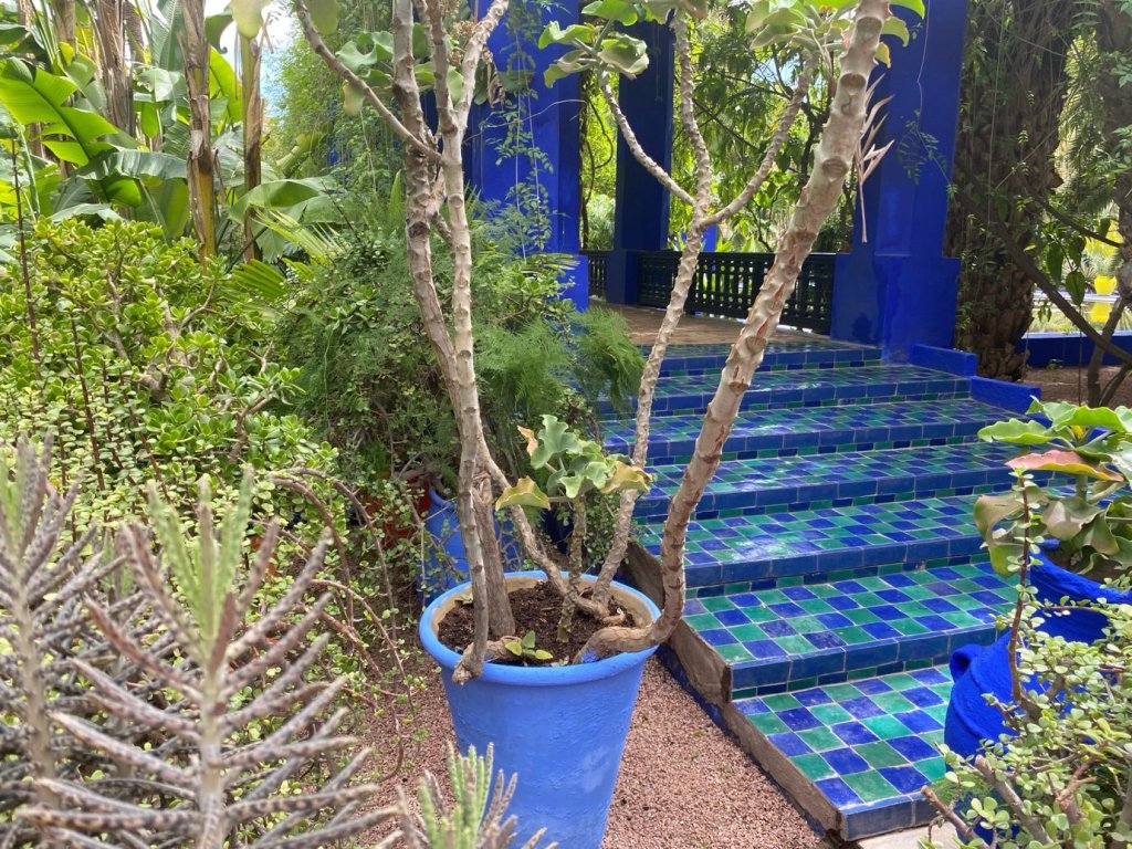 Le Jardin Majorelle, Marrakesh. March 2026