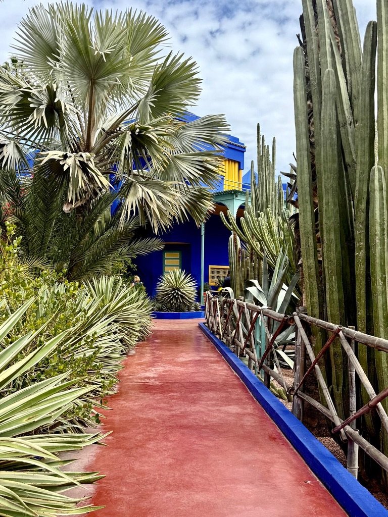 Le Jardin Majorelle, Marrakesh. March 2026