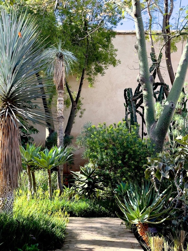 Le Jardin Majorelle, Marrakesh. March 2026