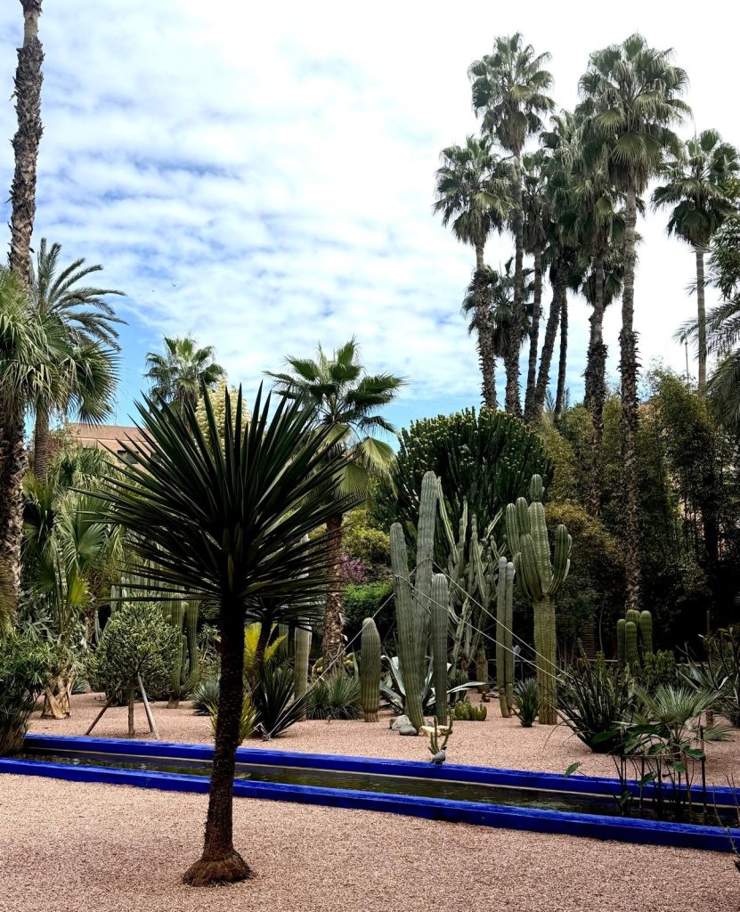 Water channel at Le Jardin Majorelle, Marrakesh. March 2026