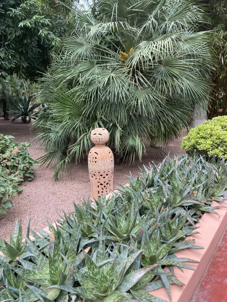 Succulents line the paths at Le Jardin Majorelle, Marrakesh. March 2026