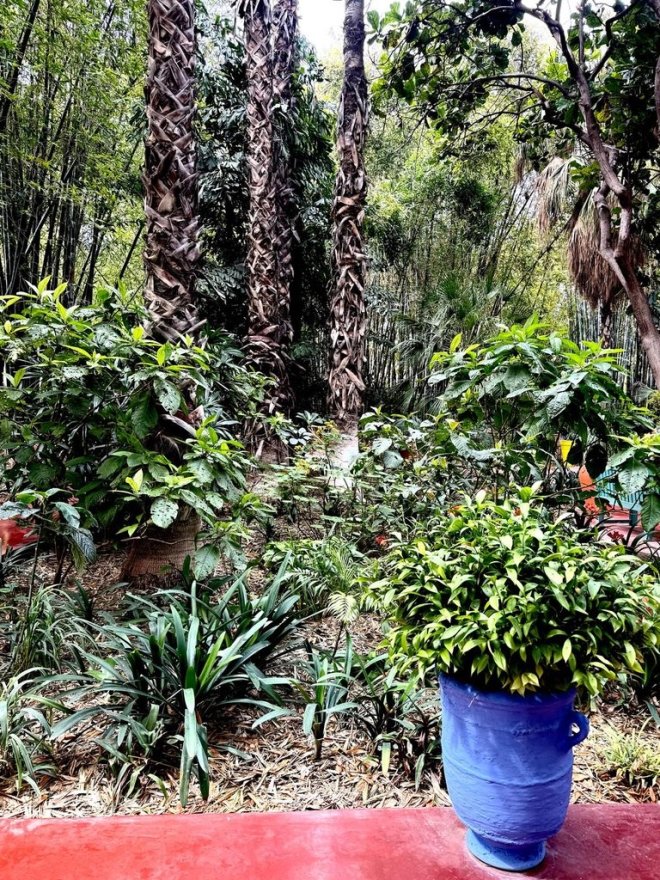 Blue container at Le Jardin Majorelle, Marrakesh. March 2026