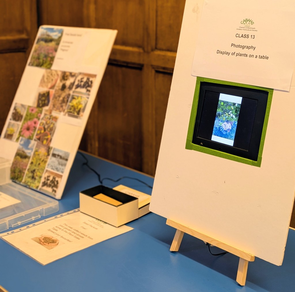 Class 13: Photography (display of plants on a table), and seed giveaway CABAHS Spring Show 2026