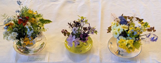Class 11: Tea cup floral display CABAHS Spring Show 2026