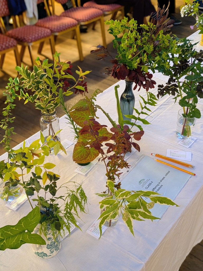 Class 4: Foliage CABAHS Spring Show 2026