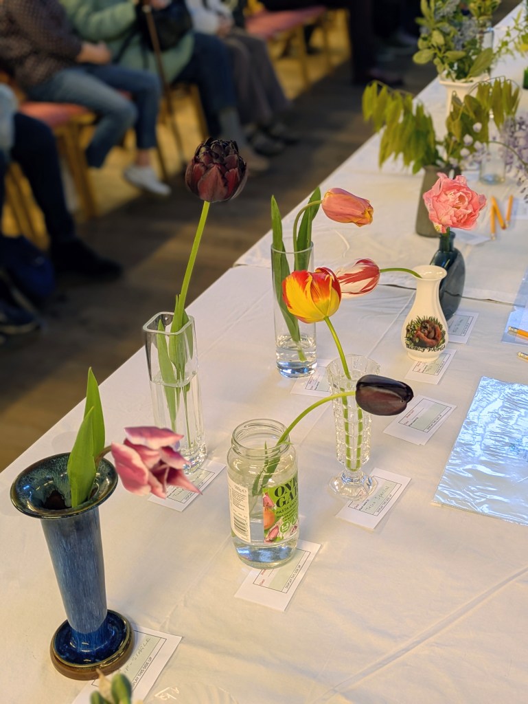 Class 2: Tulips CABAHS Spring Show 2026