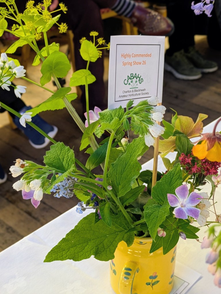 Highly Commended in Class 6: A vase of spring flowers CABAHS Spring Show 2026